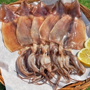 동해창고: 정품 반건조 오징어 소소 5미