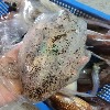 단독창고:묵호 활 무늬오징어 1kg
